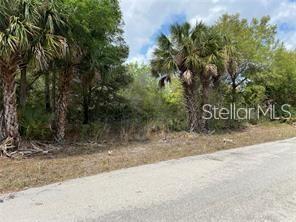 A vacant, wooded lot with several palm trees sits adjacent to a paved road — 3399 JEWEL STREET, PORT CHARLOTTE, FL