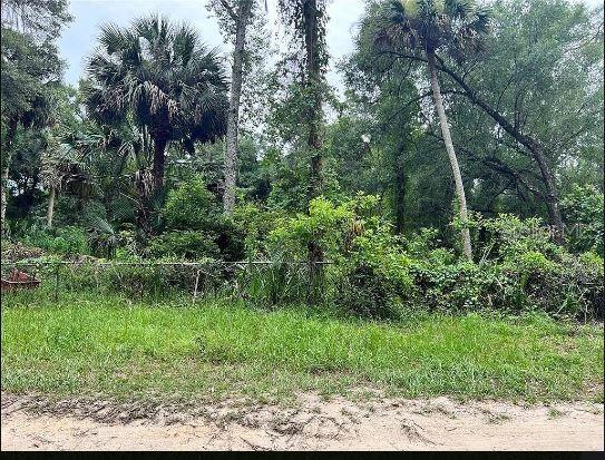 25040 E AVENUE B, PAISLEY, FL — photo 2 of 11