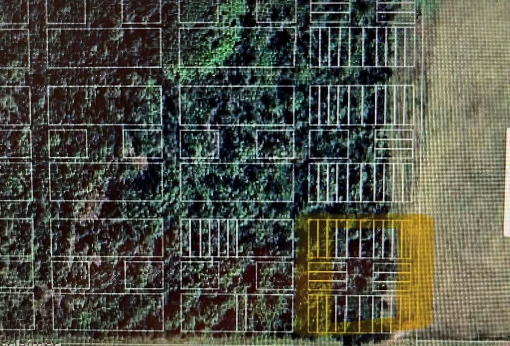 This is a digital map overlay showing a grid of property lot lines over wooded land — LOT#1.3.5.7.9.11.13.15.17 LA PALOMA ROAD, MYAKKA CITY, FL