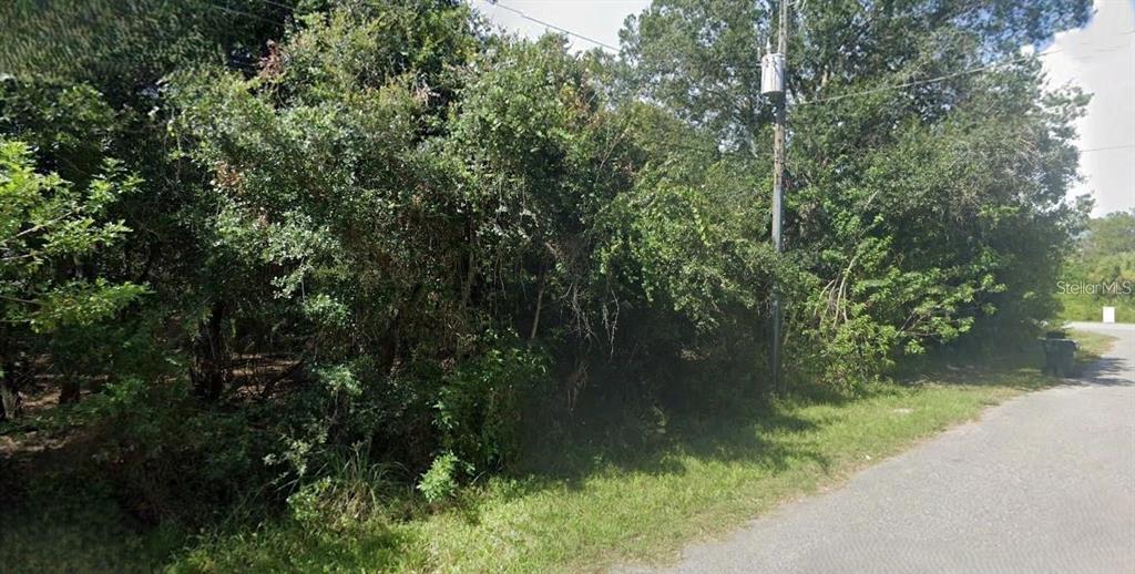 A dense, wooded lot sits beside a paved road with a utility pole — GANYARD AVENUE, NORTH PORT, FL