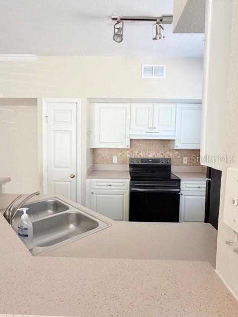 A kitchen features white cabinets, a black stove, and a stainless steel double sink — 9108 LAKE CHASE ISLAND WAY UNIT 9108, TAMPA, FL