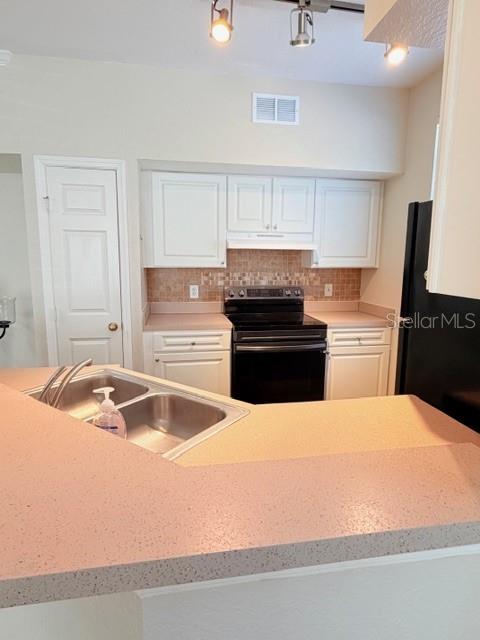 A kitchen features white cabinets, a black stove, a double sink, and speckled countertops — 9108 LAKE CHASE ISLAND WAY UNIT 9108, TAMPA, FL