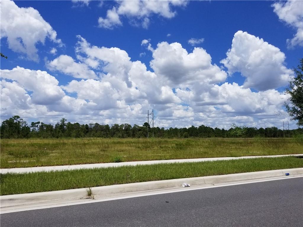 A paved road and sidewalk border a large, grassy, undeveloped lot under a cloudy sky — S APOPKA VINELAND, ORLANDO, FL