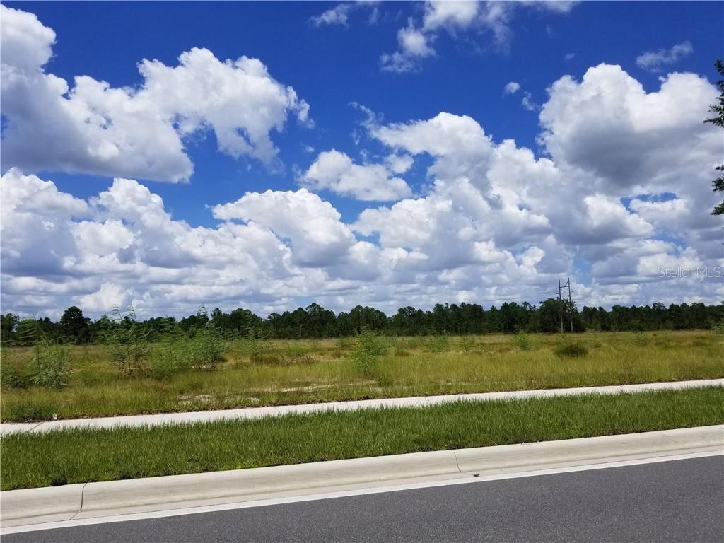 A paved road runs alongside a grassy, undeveloped lot under a bright, cloudy sky — S APOPKA VINELAND, ORLANDO, FL