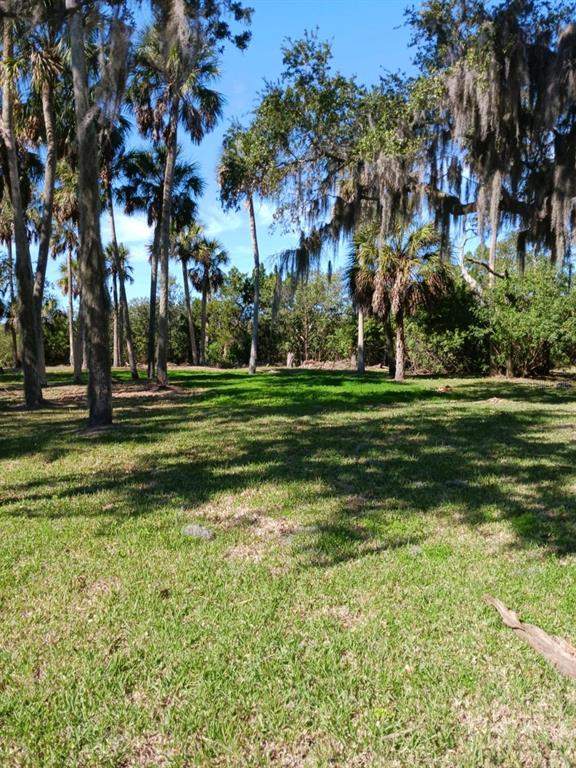 A grassy clearing is surrounded by tall palm trees and oak trees with Spanish moss — 5353 TROPICAL WOODS COURT, PORT RICHEY, FL
