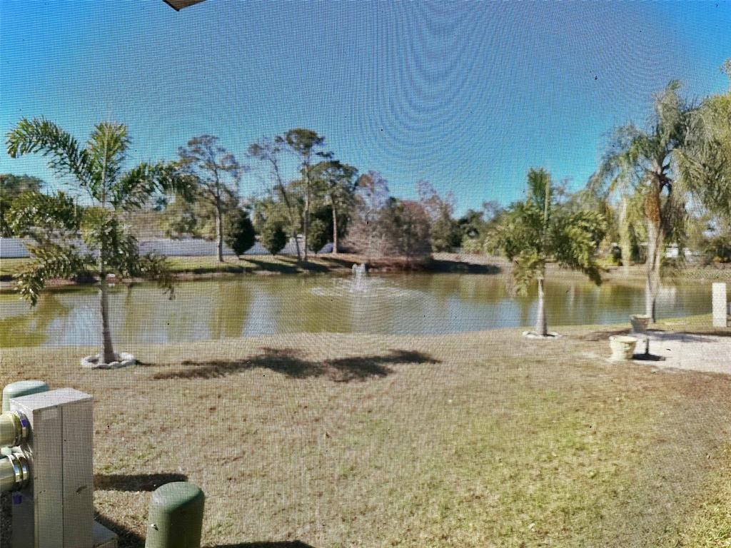 A view of a pond with a fountain from a grassy backyard with palm trees — 11228 102ND STREET N UNIT 180, LARGO, FL