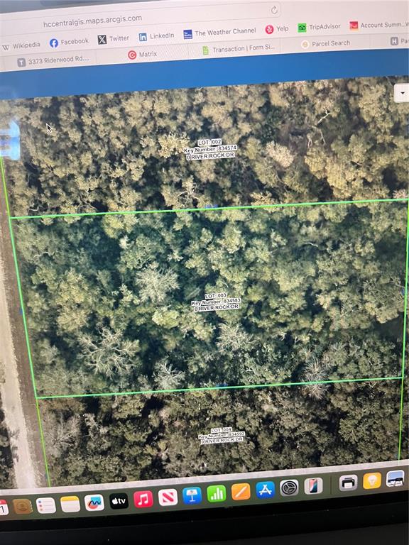 This is a digital map showing three adjacent wooded lots outlined in green — 9431 RIVER ROCK DRIVE, WEBSTER, FL