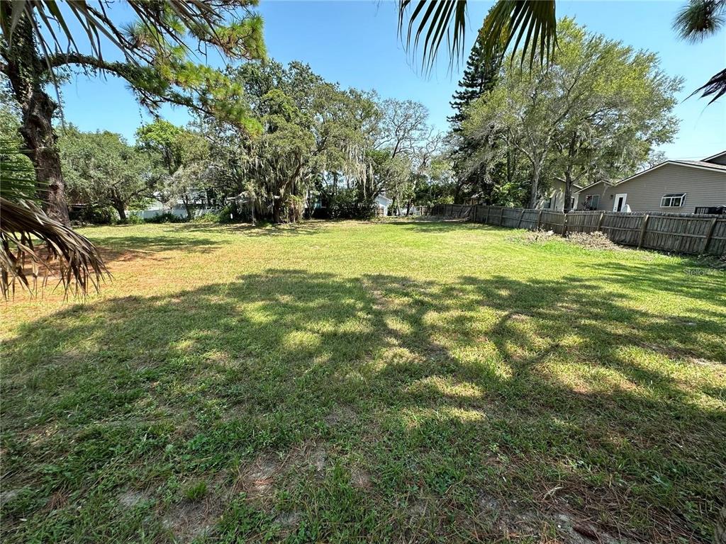 A large, flat, grassy residential lot is bordered by trees and a wooden fence — 0 PENNSYLVANIA AVENUE, PALM HARBOR, FL