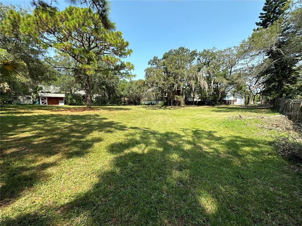 A large, grassy, sunlit backyard features mature trees and a small shed in the distance — 0 PENNSYLVANIA AVENUE, PALM HARBOR, FL