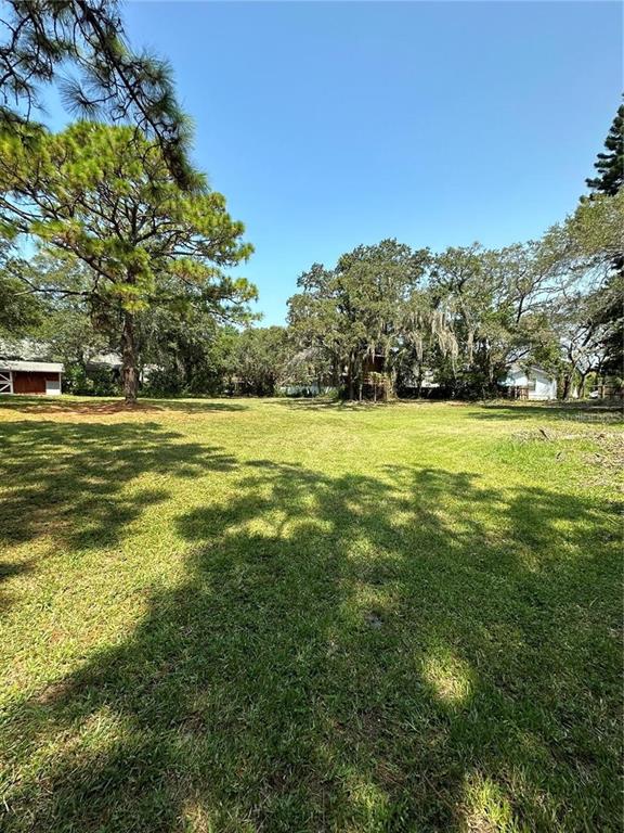 A large, grassy, sunlit lot is surrounded by mature trees and a few distant houses — 0 PENNSYLVANIA AVENUE, PALM HARBOR, FL