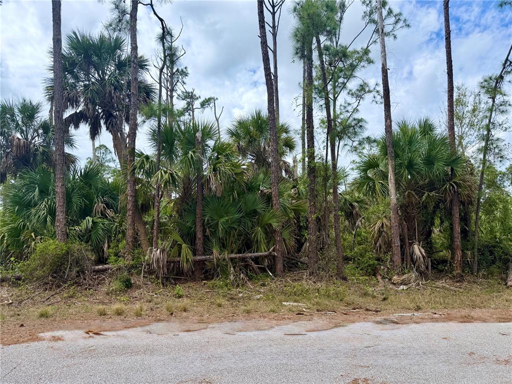 APRICOLA ROAD, NORTH PORT, FL — photo 2 of 8