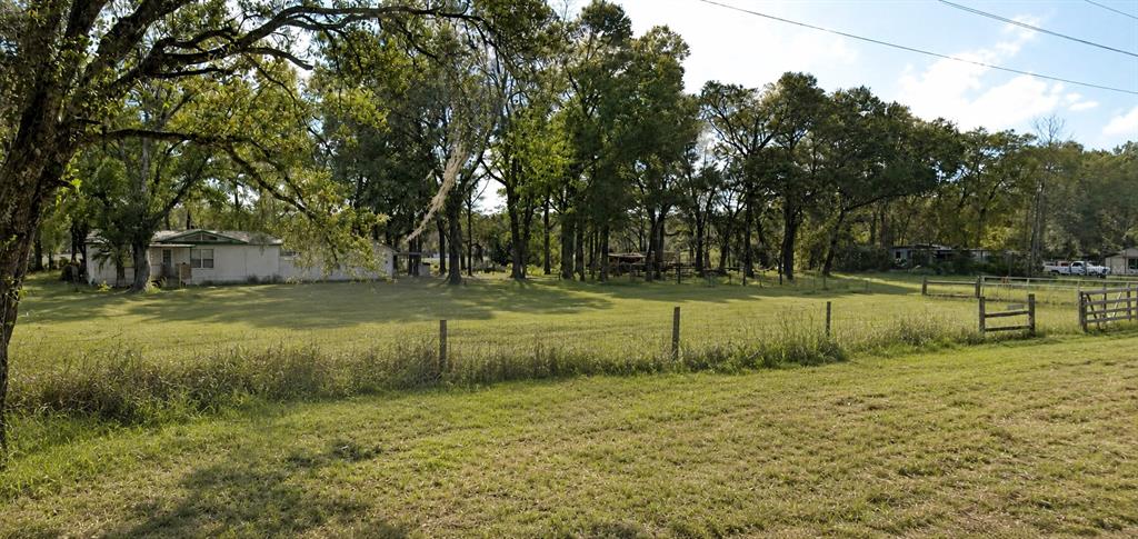 A single-story house sits on a large, grassy lot surrounded by many mature trees — 25256 RICHBARN ROAD, BROOKSVILLE, FL