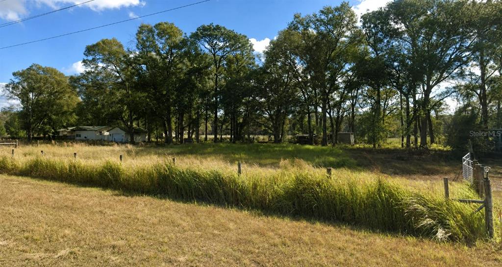 A grassy field with a fence line and a row of trees in the background — 25256 RICHBARN ROAD, BROOKSVILLE, FL