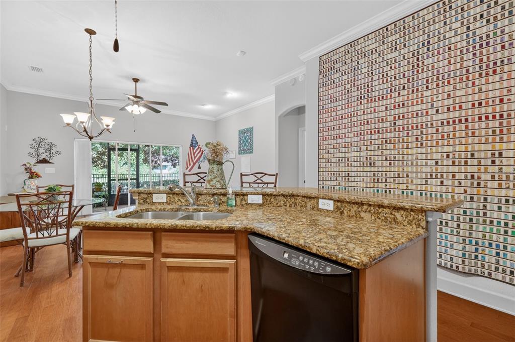 A kitchen features granite countertops, wood cabinets, a dishwasher, and a large mosaic-tiled accent wall — 1010 GREEN GATE BOULEVARD, GROVELAND, FL