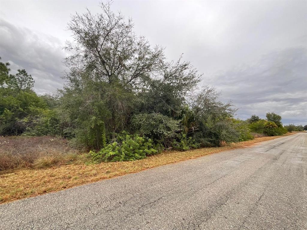A paved road runs alongside a vacant, wooded lot under a cloudy sky — 1608 SCOTT AVENUE, LEHIGH ACRES, FL