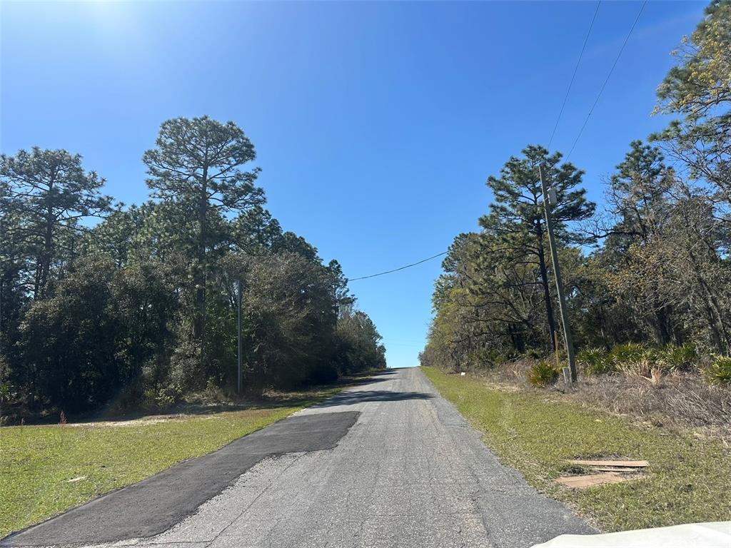 A paved road stretches forward between wooded areas under a clear blue sky — 833 W CHAMPLAIN LANE, CITRUS SPRINGS, FL