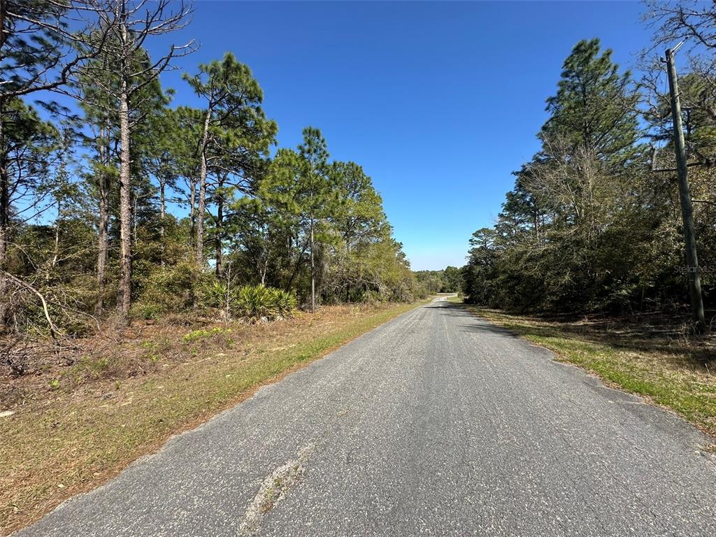 A paved road stretches through a wooded area under a clear blue sky — 833 W CHAMPLAIN LANE, CITRUS SPRINGS, FL