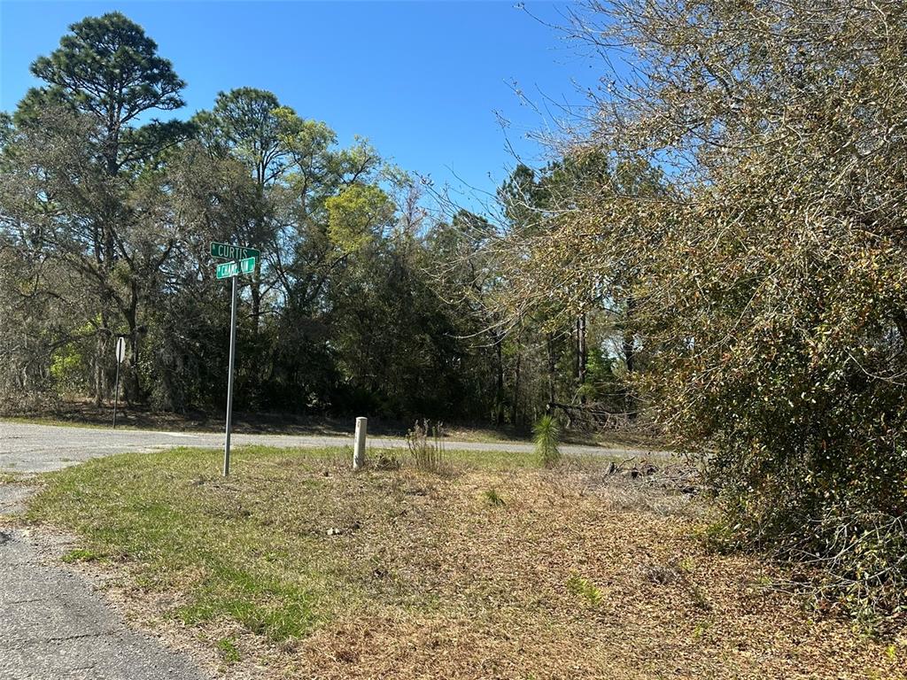 A street sign stands at the corner of a grassy, wooded vacant lot — 833 W CHAMPLAIN LANE, CITRUS SPRINGS, FL