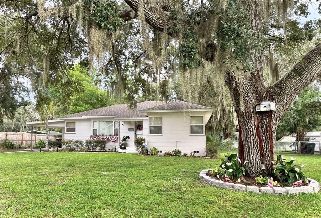 A white single-story house with a carport sits behind a large tree with Spanish moss — 552 PALENCIA PLACE, LAKELAND, FL