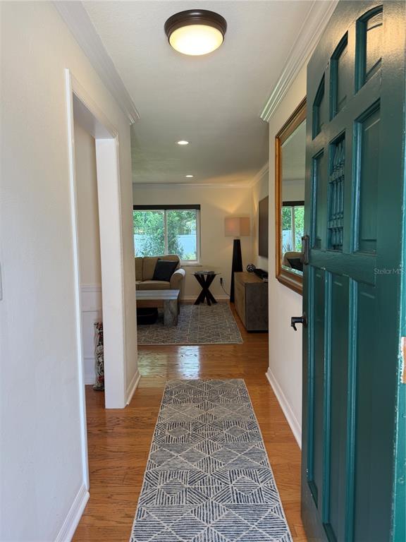 An entryway with hardwood floors and a geometric runner leads into a living room — 810 SWEETBRIAR ROAD, ORLANDO, FL