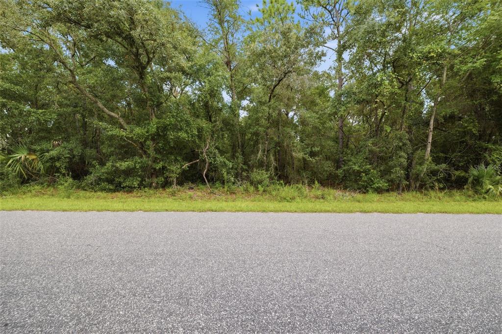 A paved road runs in front of a densely wooded, undeveloped lot — 1295 E RAY STREET, HERNANDO, FL