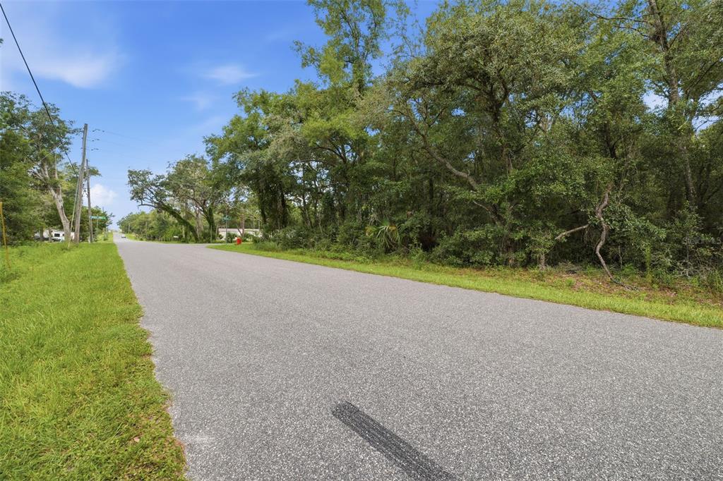 A paved road runs alongside a wooded lot under a blue sky — 1295 E RAY STREET, HERNANDO, FL