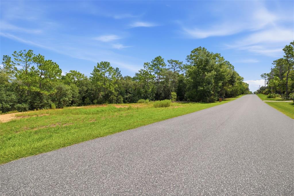 A paved road runs alongside a grassy, undeveloped lot bordered by a line of trees — 1295 E RAY STREET, HERNANDO, FL