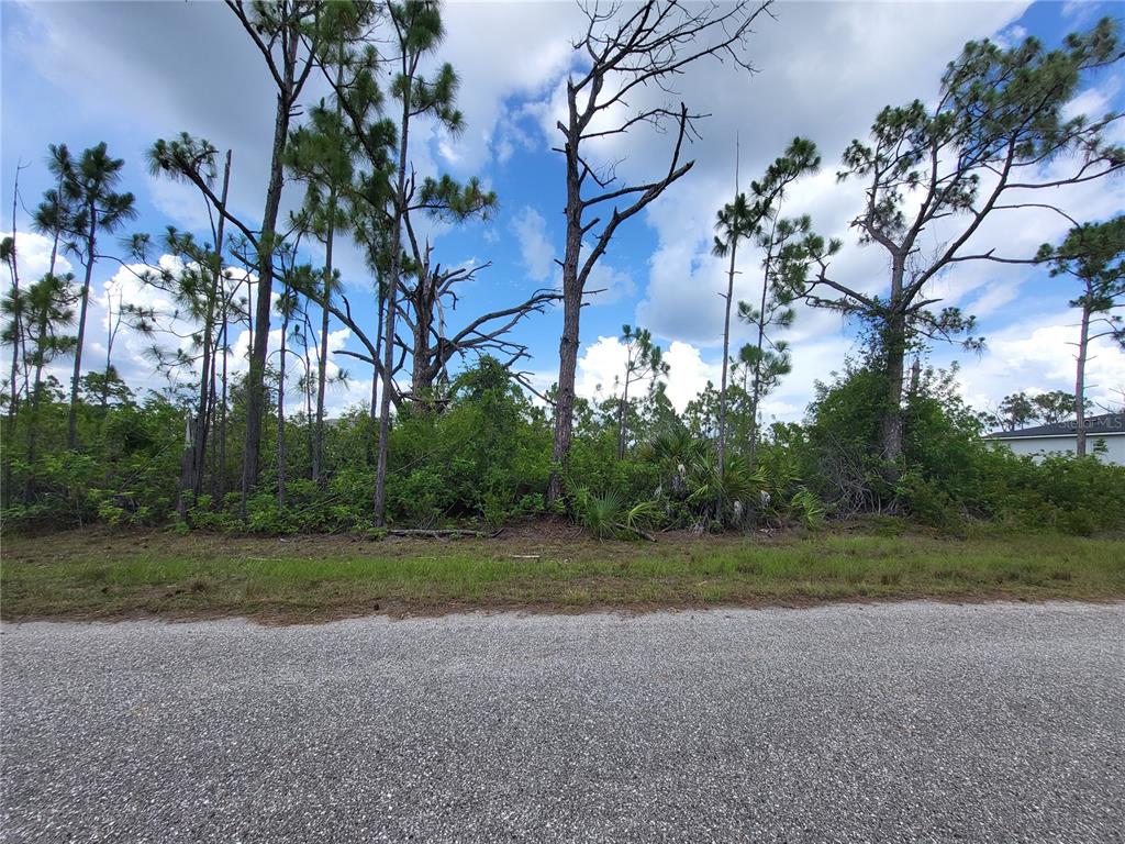 A view of a wooded, undeveloped residential lot from an asphalt street — 14114 CLARISSA LANE, PORT CHARLOTTE, FL
