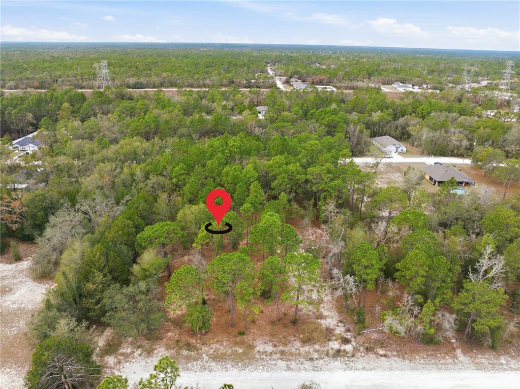 An aerial view shows a wooded, undeveloped plot of land with a red location marker — CORMORANT ROAD, WEEKI WACHEE, FL