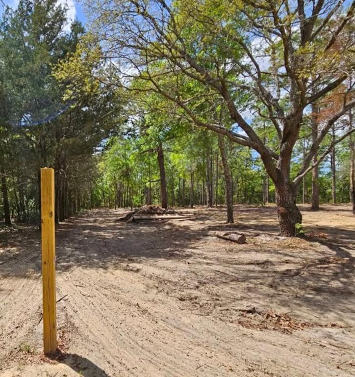 A cleared, sandy lot with several mature trees and a single wooden post in front — CORMORANT ROAD, WEEKI WACHEE, FL