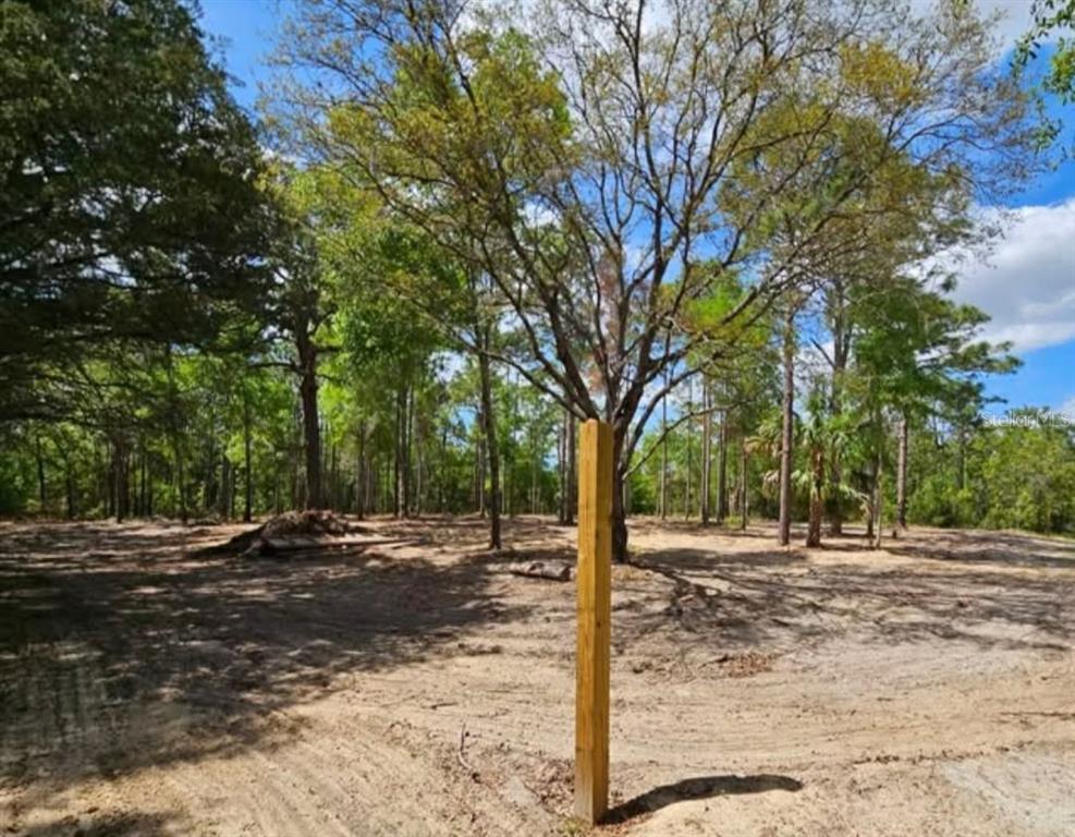 A cleared, sandy lot features a single wooden post in the foreground and surrounding trees — CORMORANT ROAD, WEEKI WACHEE, FL