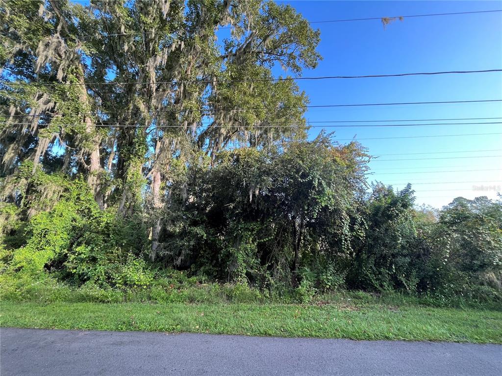 A dense, overgrown wooded lot sits behind a paved road under a clear blue sky — 268 TOMS ROAD, DEBARY, FL