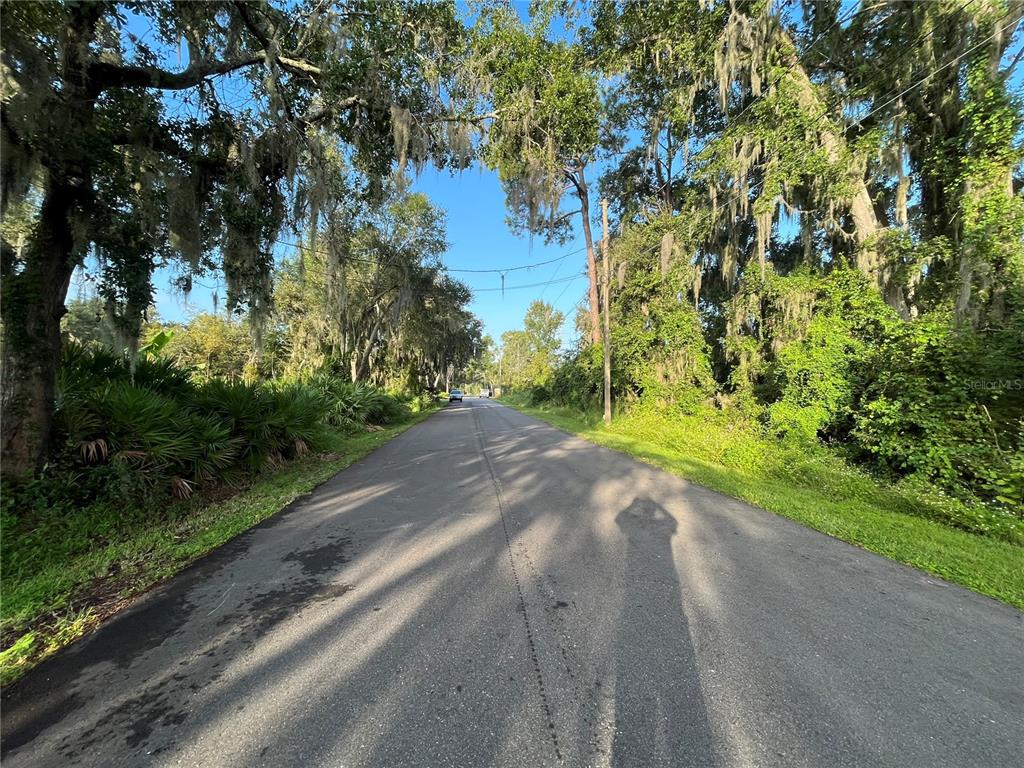 A paved road stretches into the distance, lined by large trees draped in Spanish moss — 268 TOMS ROAD, DEBARY, FL