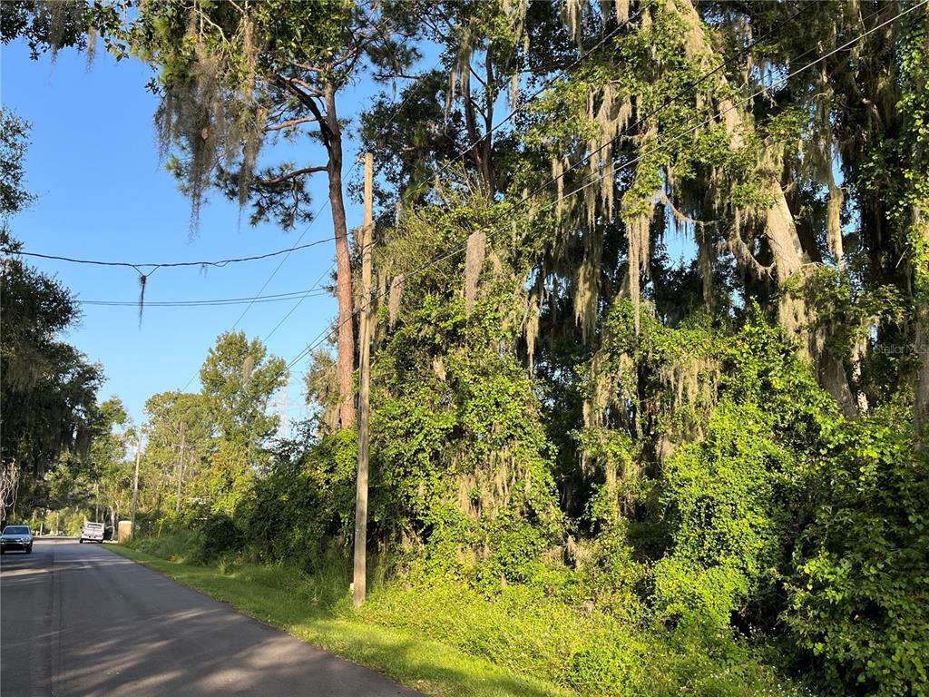 A paved road runs alongside a wooded area with tall trees and hanging Spanish moss — 268 TOMS ROAD, DEBARY, FL