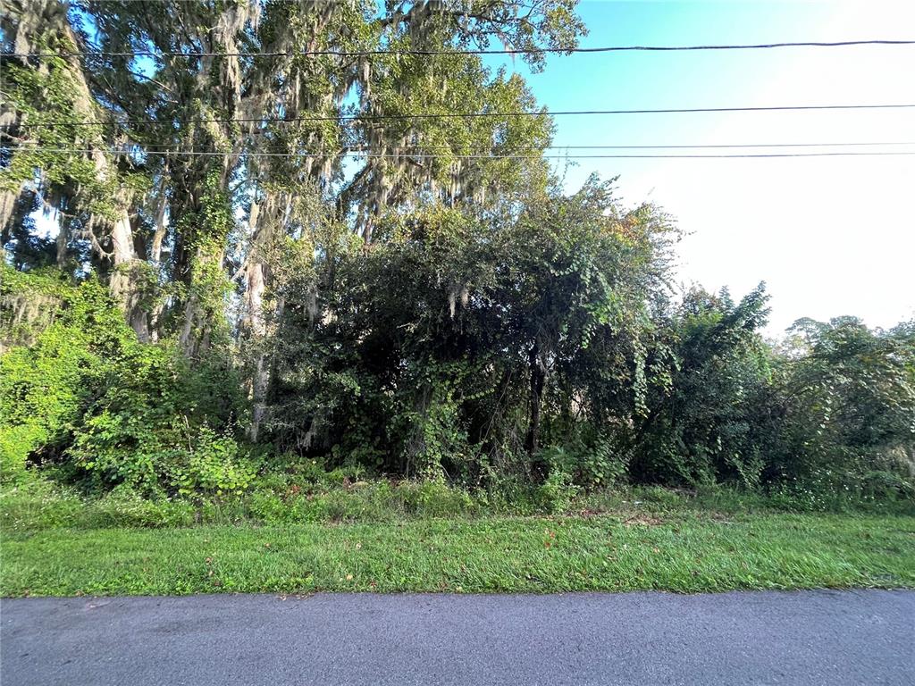 A dense, overgrown wooded lot sits behind a strip of grass and an asphalt road — 268 TOMS ROAD, DEBARY, FL