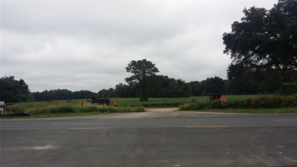 A paved road runs in front of a large, open field with scattered trees — TBD HIGHWAY 441, ALACHUA, FL