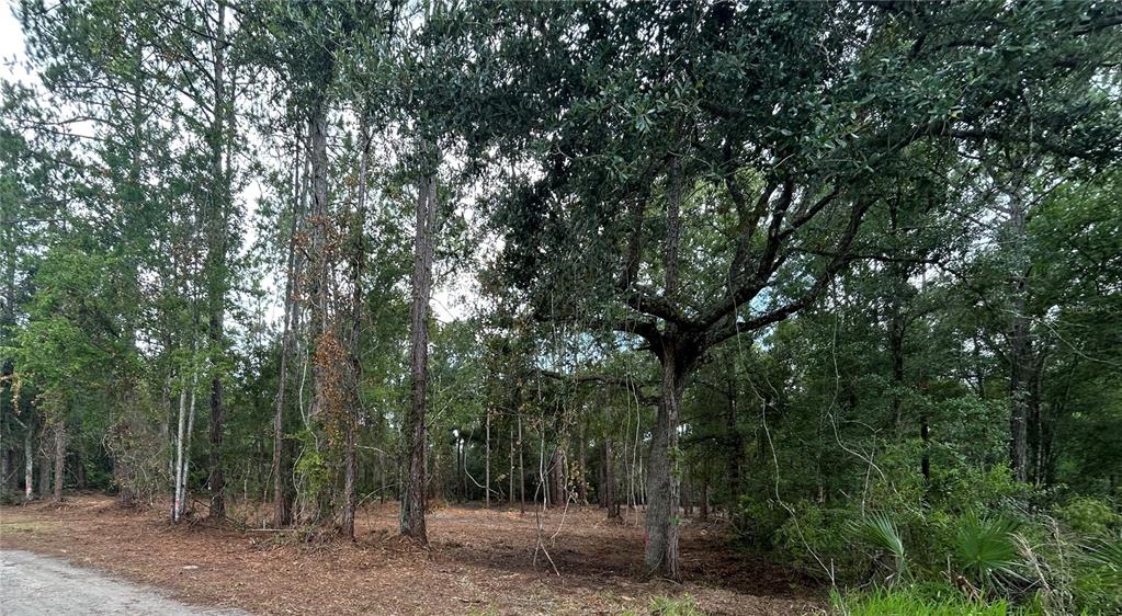 WESTPOINT DRIVE, WESLEY CHAPEL, FL — photo 5 of 13