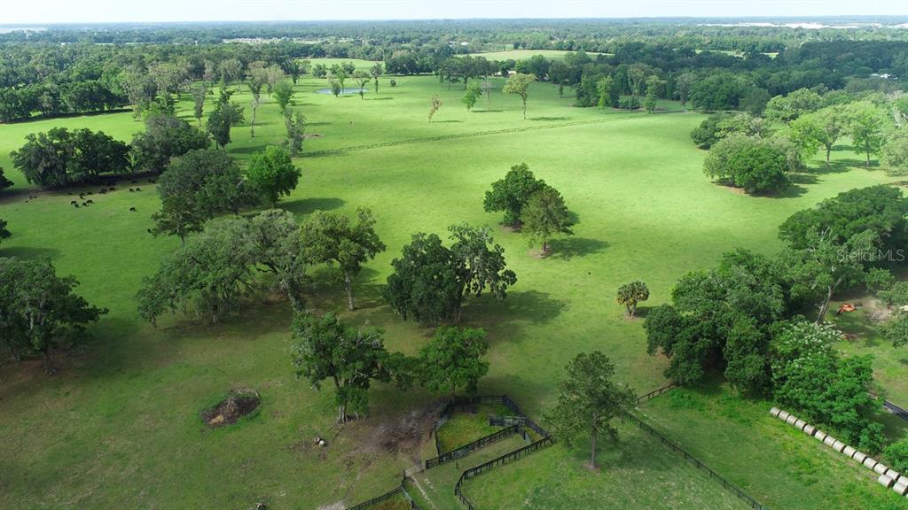 An aerial view shows a large, grassy pasture with scattered trees and fenced enclosures — TBD NW 68TH AVENUE, OCALA, FL