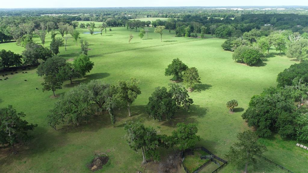 An aerial view shows a large, grassy pasture dotted with trees and fenced enclosures — TBD NW 68TH AVENUE, OCALA, FL