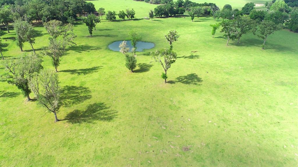 An aerial view of a large, grassy pasture featuring scattered trees and a small pond — TBD NW 68TH AVENUE, OCALA, FL