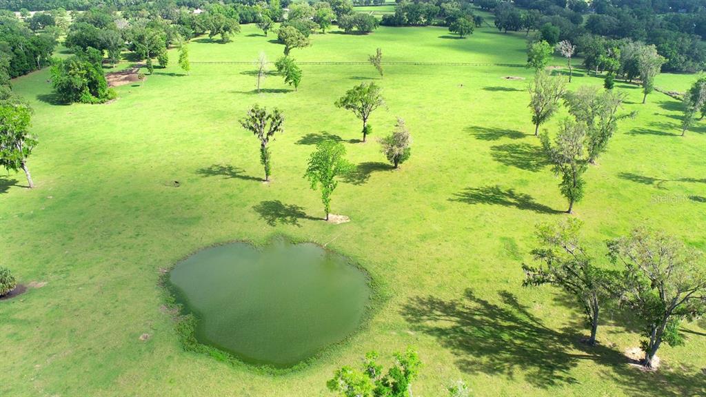 An aerial view of a large, grassy pasture featuring scattered trees and a small pond — TBD NW 68TH AVENUE, OCALA, FL