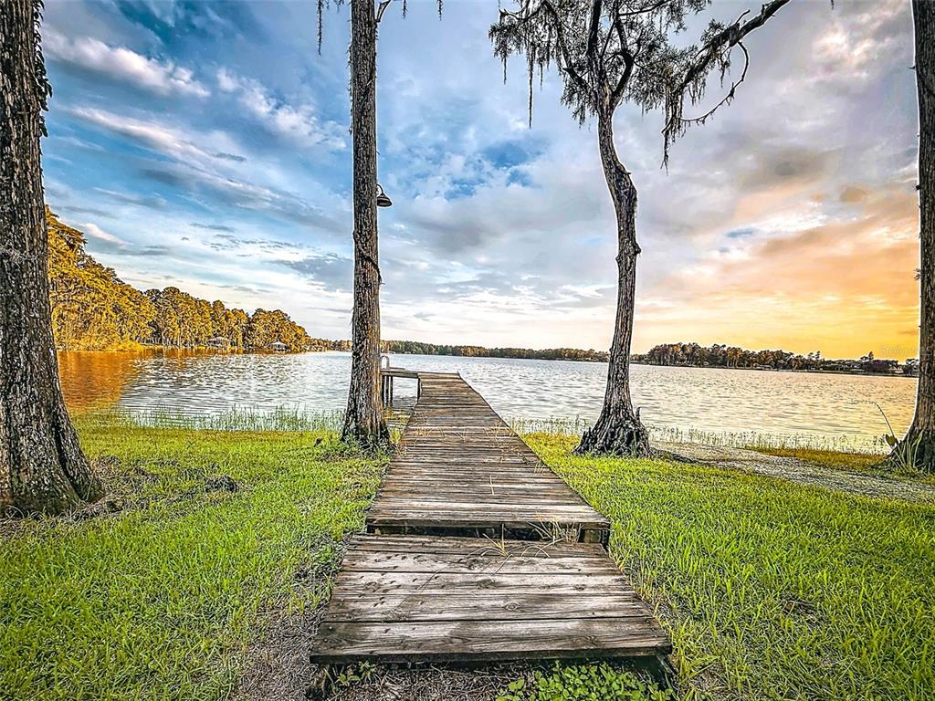 A wooden dock extends from a grassy shore into a lake framed by two large trees — 14710 COLOMA LANE, ODESSA, FL