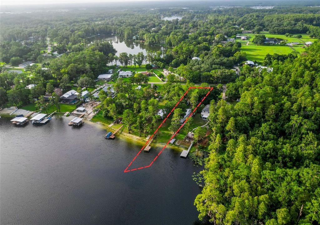 An aerial view shows a lakefront property lot outlined in red with a private dock — 14710 COLOMA LANE, ODESSA, FL
