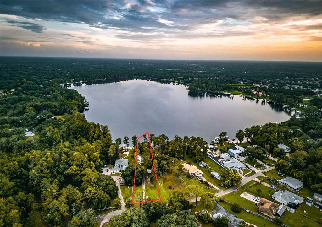 An aerial view shows a lakefront residential lot outlined in red amidst a wooded area — 14710 COLOMA LANE, ODESSA, FL