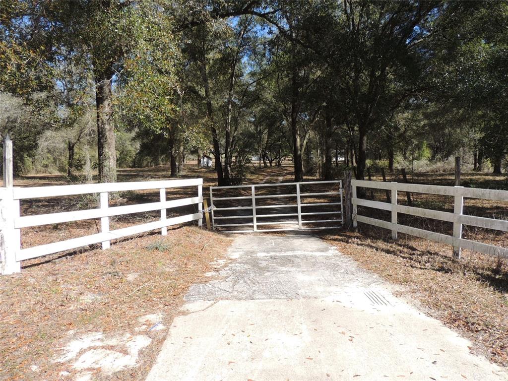 A white wooden fence and metal gate open onto a concrete driveway leading into woods — 4551 SE 138TH TERRACE, MORRISTON, FL