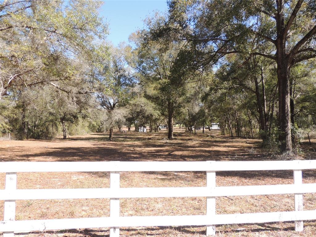 A white rail fence sits in the foreground of a large, wooded, grassy lot — 4551 SE 138TH TERRACE, MORRISTON, FL