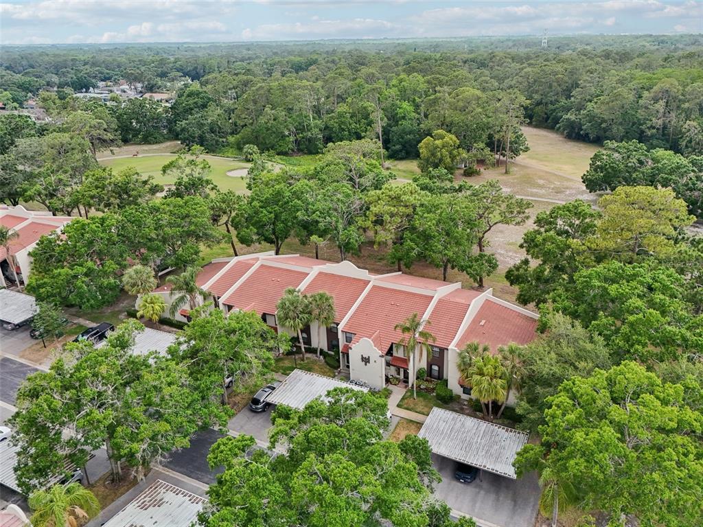 3505 TARPON WOODS BOULEVARD UNIT K409