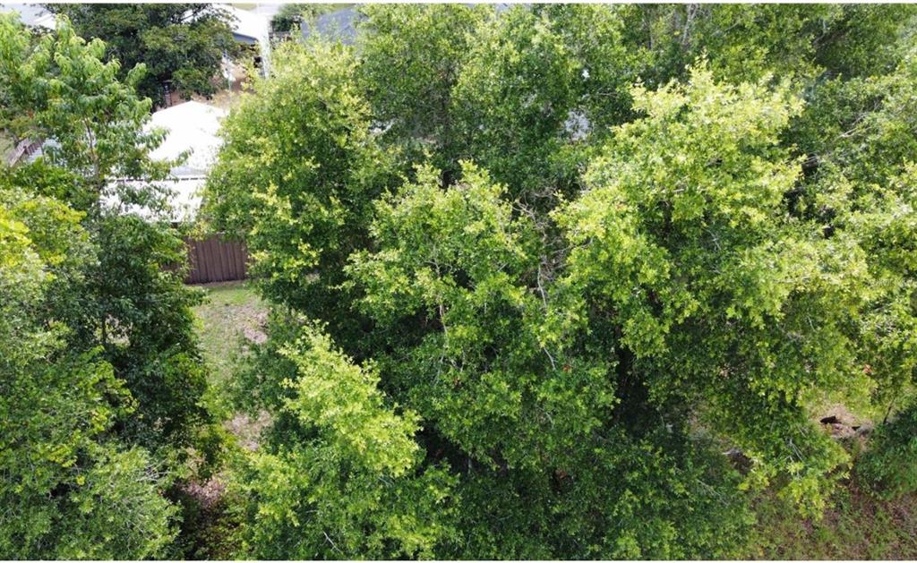 An aerial view shows a dense canopy of green trees over a residential backyard — 00 W HIGHWAY 40, DUNNELLON, FL
