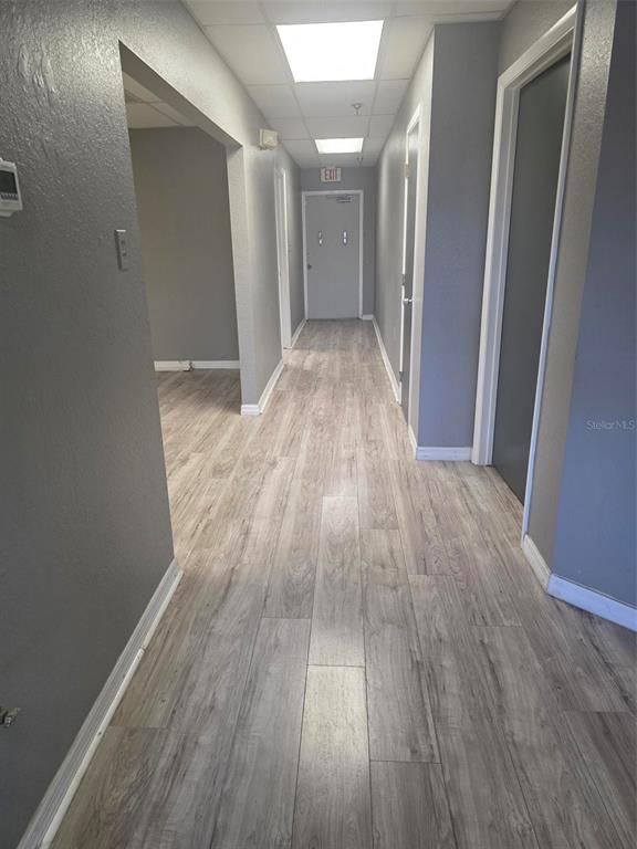 A hallway with gray walls, light wood-look flooring, and several doors leading to other rooms — 4120 TAMIAMI TRAIL UNIT D1, PORT CHARLOTTE, FL