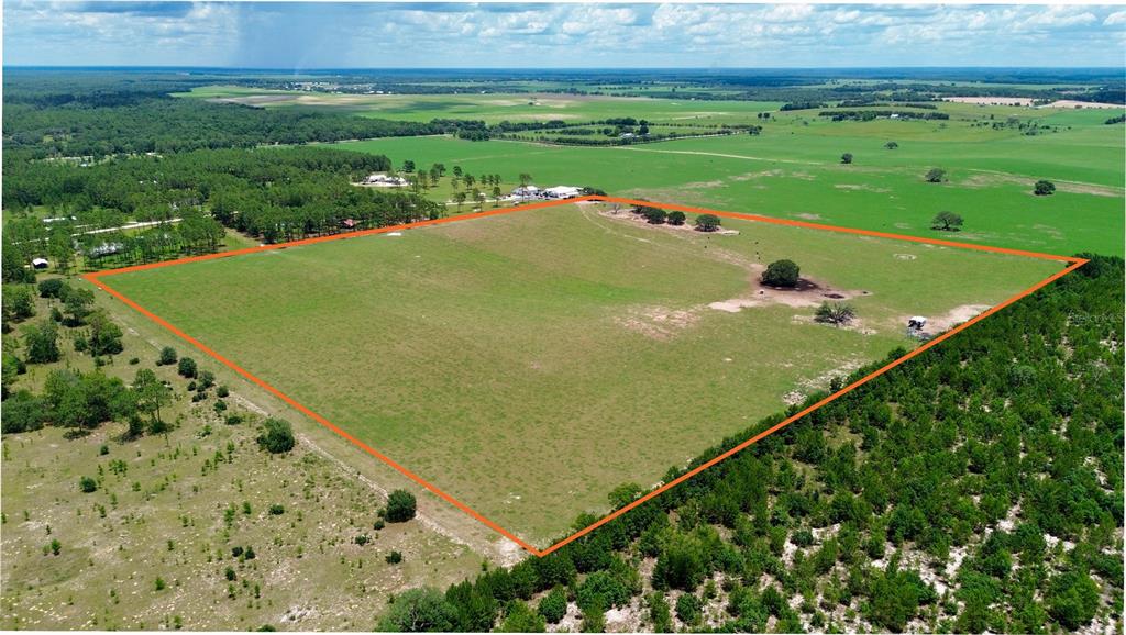 An aerial view shows a large, rectangular grassy pasture outlined in orange — SE 54TH STREET, MORRISTON, FL
